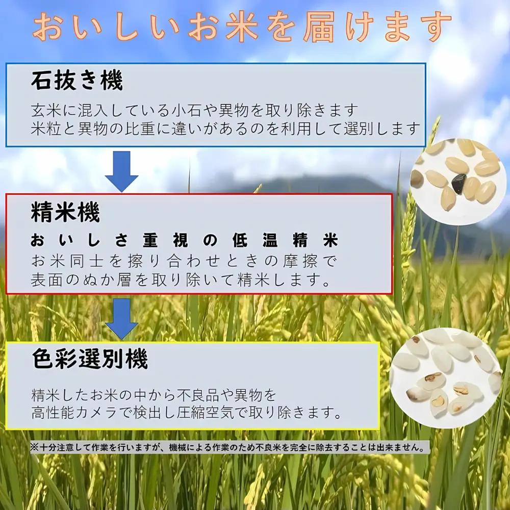 玄米 R7年産 5kg ヒノヒカリ | 玄米