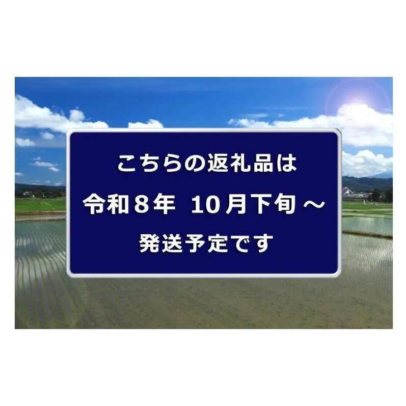 令和8年産　先行予約【定期便／全6回】無洗米 魚沼産コシヒカリ2合×10袋 〈令和8年10月下旬～発送予定〉