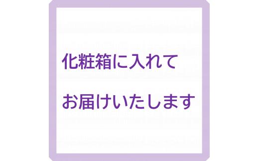 信濃ワインプレミアムストレート果汁100％ジュース　500ml×2本　[6097026][果汁飲料　ぶどう　メルロー　シャルドネ]