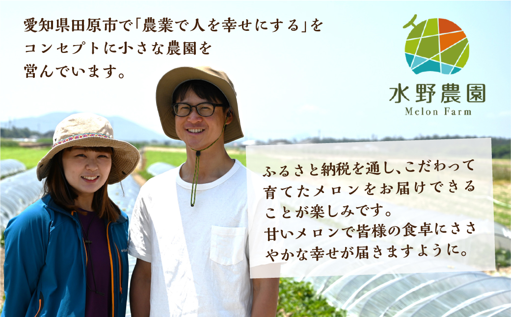 水野農園産タカミレッド　２玉 メロン めろん 先行受付 フルーツ 果物 お中元 お取り寄せ ギフト 渥美半島 田原市 産地直送 送料無料 農家直送 産直 ネット系メロン くだもの デザート メロン 糖