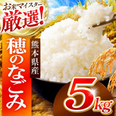 ふるさと納税 和水町 熊本県 穂のなごみ 白米 5kg (ブレンド米)