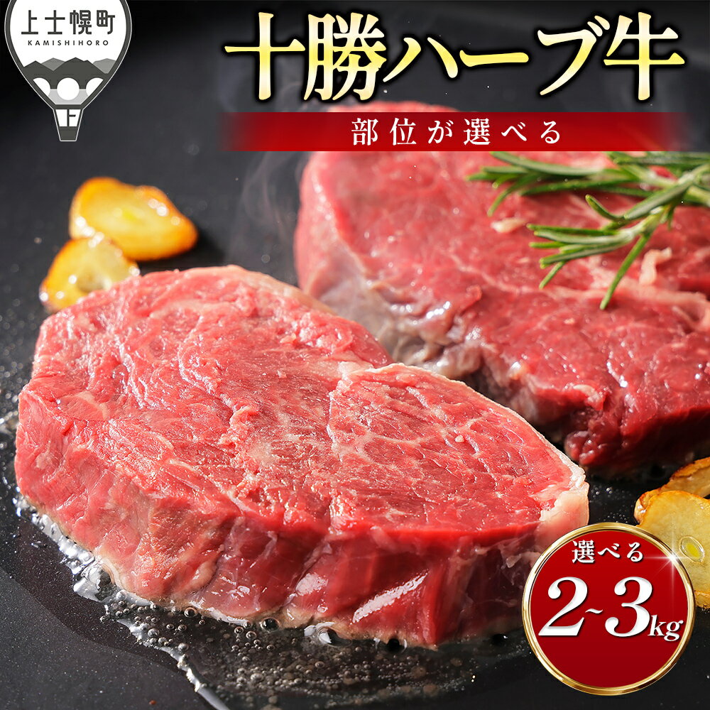 【ふるさと納税】十勝ハーブ牛 ブロック 選べる 2～3kg ブロック肉 国産 北海道 牛 肉 牛肉 国産牛 赤身 ヒレ フィレ サーロイン 塊 キャンプ アウトドア BBQ 冷凍 発送時期が選べる