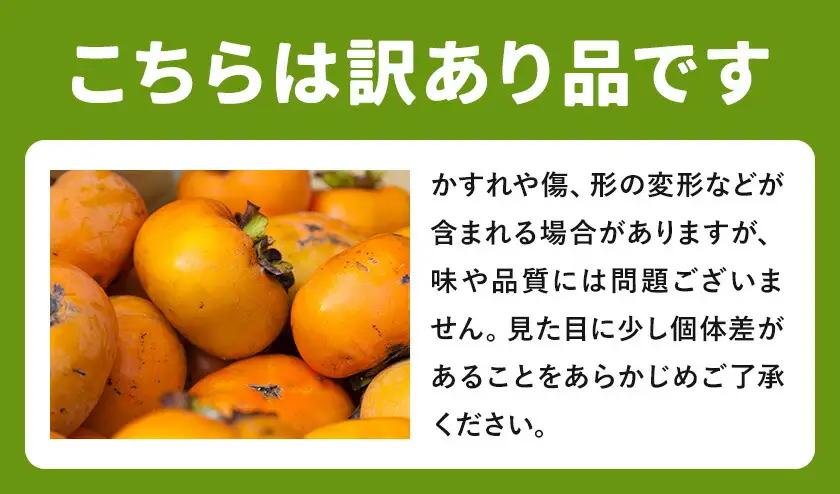 たねなし柿 訳あり 1kg 農業福祉研究機構