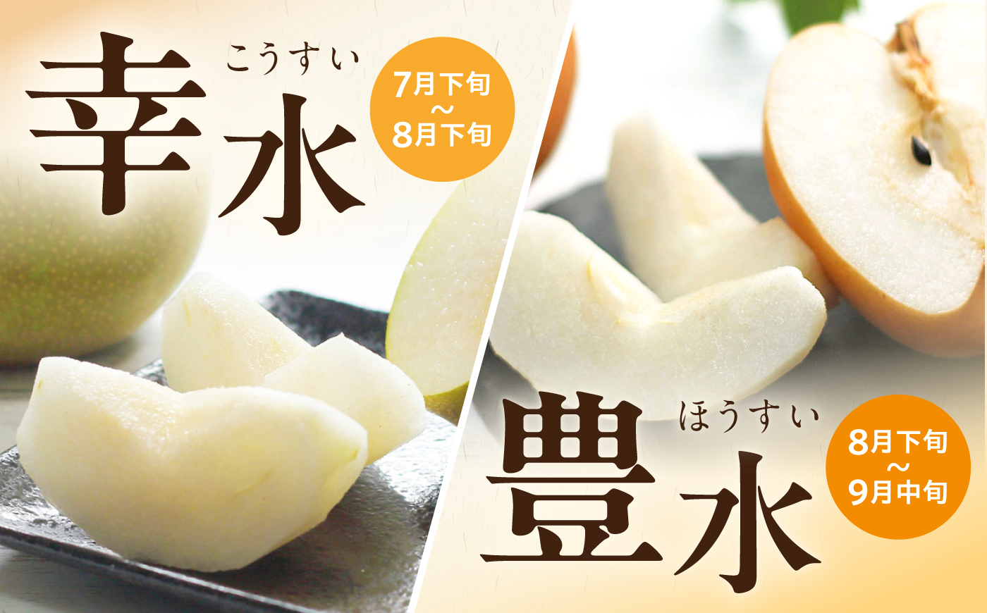 【2回定期便】朝採り旬の梨 約2.5kg（6玉）/回 計5kg 大村市 産直松吉/梨 なし 定期便 梨 幸水 豊水 秋麗 あきづき 新高 20世紀 二十世紀 かんた [ACZC012]