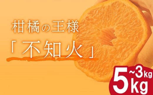 
            【選べる容量】 岡村農園直送 不知火 3kg～5kg | 果汁たっぷりの 完熟 デコポン 数量限定 期間限定 農家直送 大人気 しらぬい 柑橘 デコポン 傷ありデコポン ふるさと納税 果物 フルーツ 人気 ランキング 上位 みかん ミカン 傷あり 規格外 大小混合 ふるさと納税デコポン ふるさと納税不知火 ふるさと納税果物 ふるさと納税フルール 8000円 10000円 高知県 室戸市
          