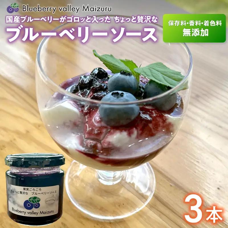 ブルーベリーソース 3本 180g×3 
