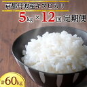 【ふるさと納税】数量限定 初回12月下旬発送 新米 定期便 5kg 12ヶ月 計60kg 令和6年産 京都丹波産キヌヒカリ＜JA京都たわわ朝霧＞※2024年12月からお届け開始≪農協 白米 産地直送 送料無料 簡易包装 年内発送 先行予約≫