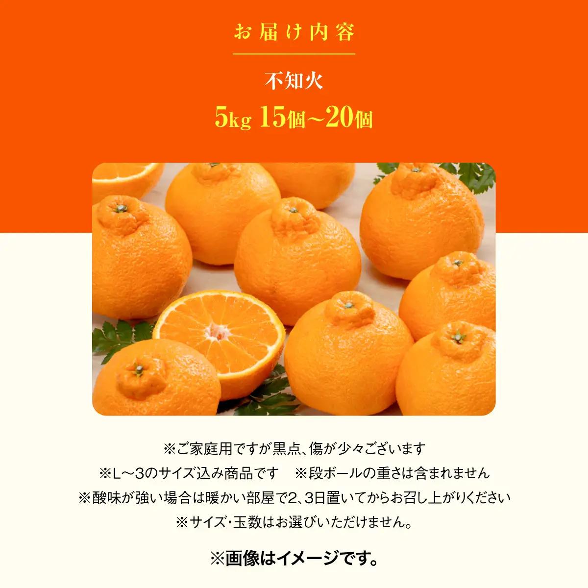 【先行受付】みさき果樹園で栽培・収穫・段々畑育ちの濃厚不知火5kg【C21-63】YWTBC044