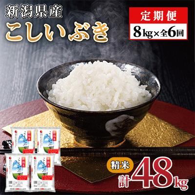ふるさと納税 見附市 【毎月定期便】新潟県産 こしいぶき(精米) 8kg【計48kg】全6回