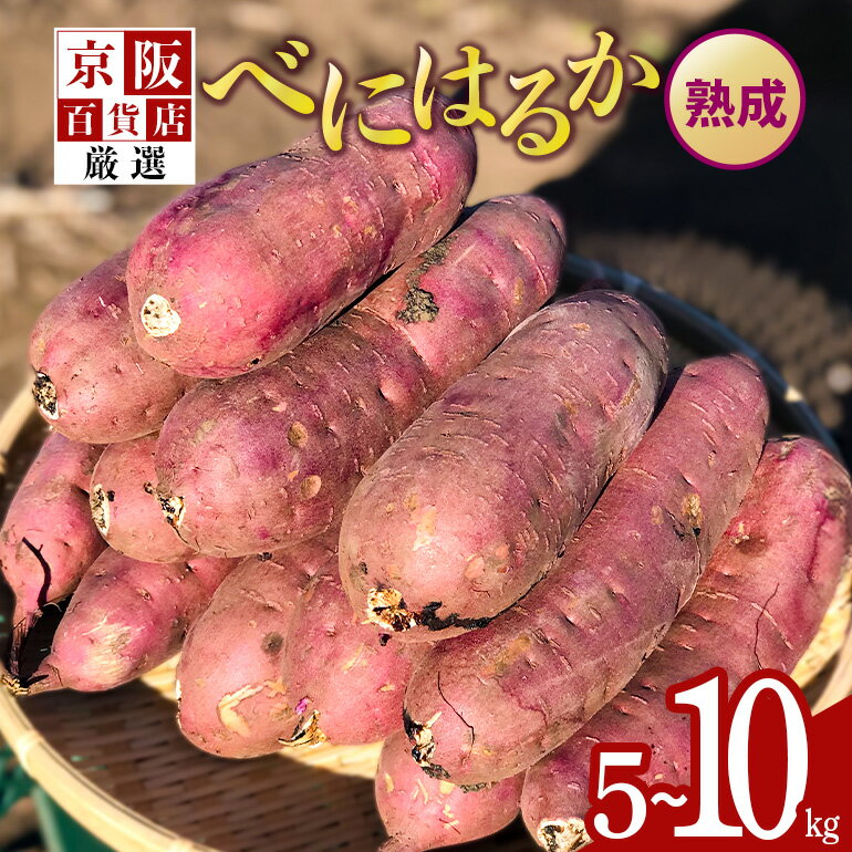 【ふるさと納税】 【京阪百貨店厳選】茨城県産べにはるか 5kg （熟成）[A品L〜2Lサイズ] 芋 さつま芋 サツマイモ さつまいも B18-005