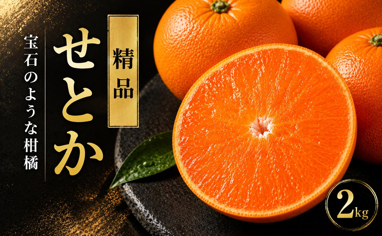 
                  先行予約 せとか 2kg 精品 ハウス栽培  柑橘 フルーツ 果物 蜜柑 みかん くだもの mikan かんきつ オレンジ せとか 高級柑橘 スイーツ デザート 果実 果汁 甘い ジューシー おいしい 特産品 国産 農園 直送 産地 直送 ギフト 贈答 プレゼント 愛媛県 愛南町 豊田農園
                