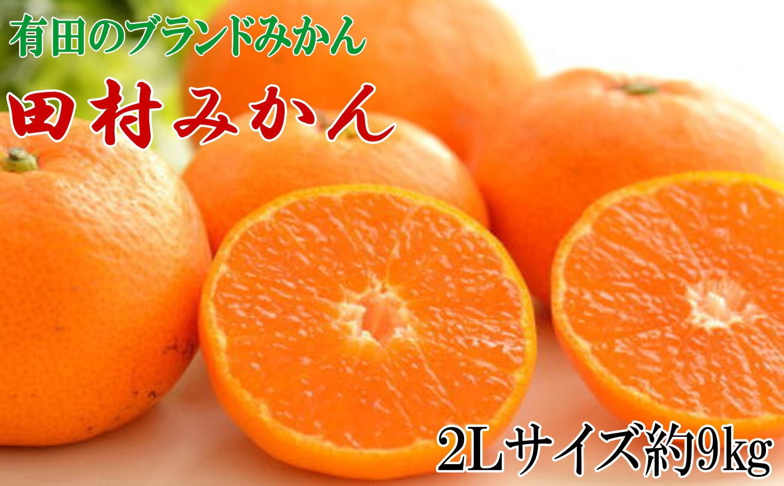 
                  【ブランドみかん】田村みかん大玉約9kg(2Lサイズ) ※2026年11月下旬～2026年12月下旬頃に順次発送  / みかん 果物 柑橘 有田みかん ミカン オレンジ 和歌山【tecj1037】
                