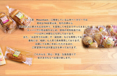 【兵庫県相生市】<定期便3ヶ月>パン工房Mountainおまかせセット