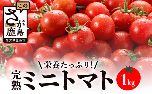 
【先行予約】 たにぐちファーム 完熟ミニトマト 約1kg 『Ricotomato とりこになるトマト』 B-324
