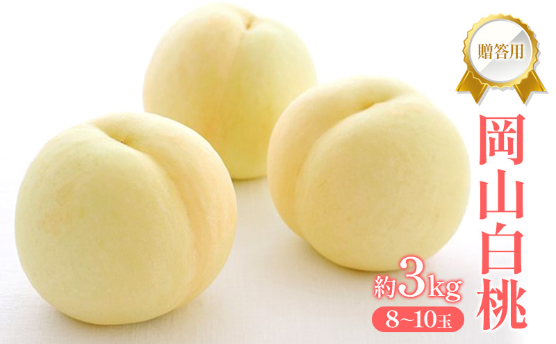 桃 2026年 先行受付 贈答用 岡山 白桃 約3kg (8～10玉) フルーツ 果物 岡山 赤磐市