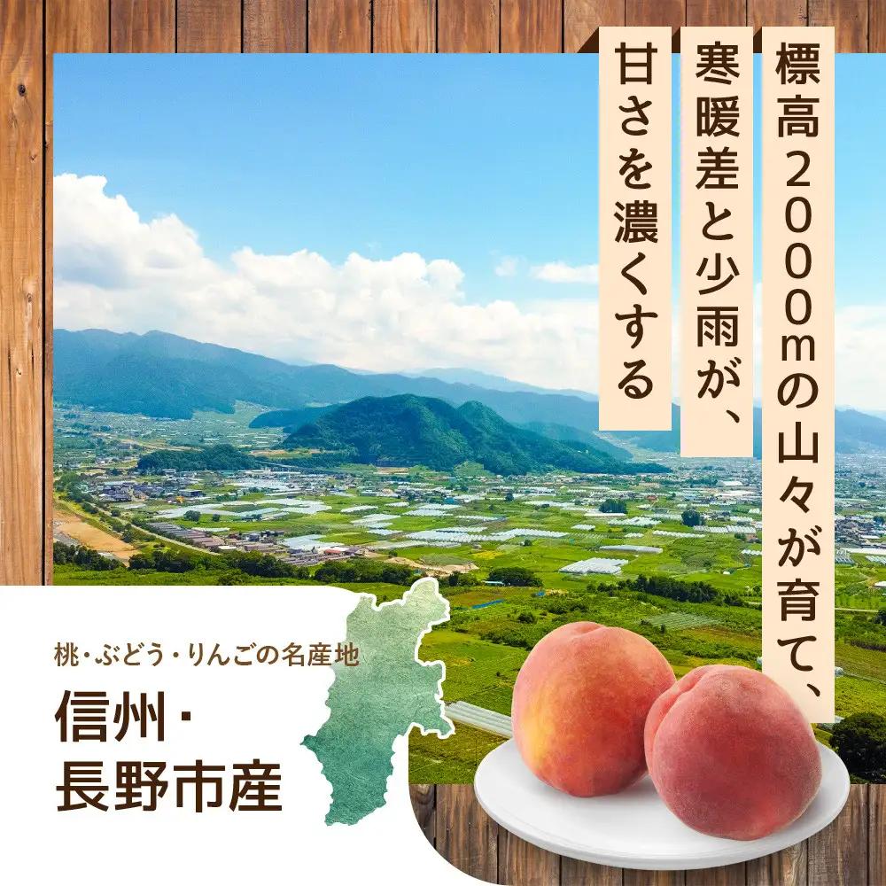 【※2027年7月以降発送分 先行受付】長野市産 旬の桃 ワッサー 約２kg | 桃 もも モモ もも