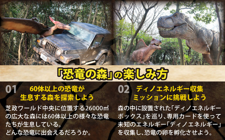 芝政ワールド スーパーパスポート1名様（こども1名） 遊園地 プール チケット レジャー施設 恐竜 [A-3901]