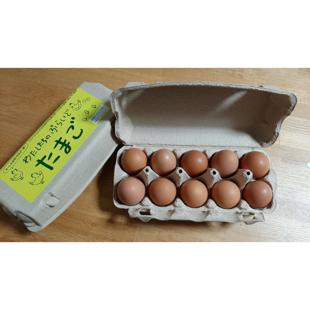 【ふるさと納税】【定期便：12か月】単なる平飼いではない『わたしたちのぷらいどたまご』6パック（60個）セット | 卵 食品 人気 おすすめ 送料無料