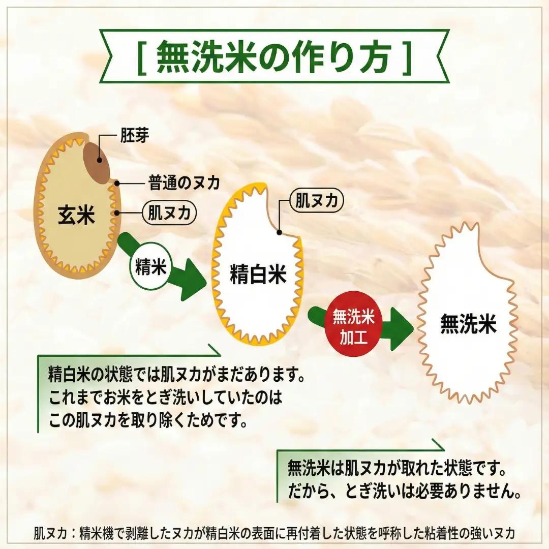 魚沼産コシヒカリ 無洗米 5kg 新潟県 | おこめ 5キロ×1袋 特A評価 無洗