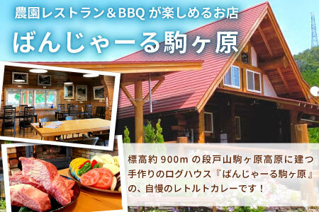 お肉がごろっと入った！たけうち牧場のビーフカレー お試し 1個 国産牛 ご当地カレー カレー 中辛 ブランド牛カレー レトルトカレー スパイス 段戸牛カレー  -217