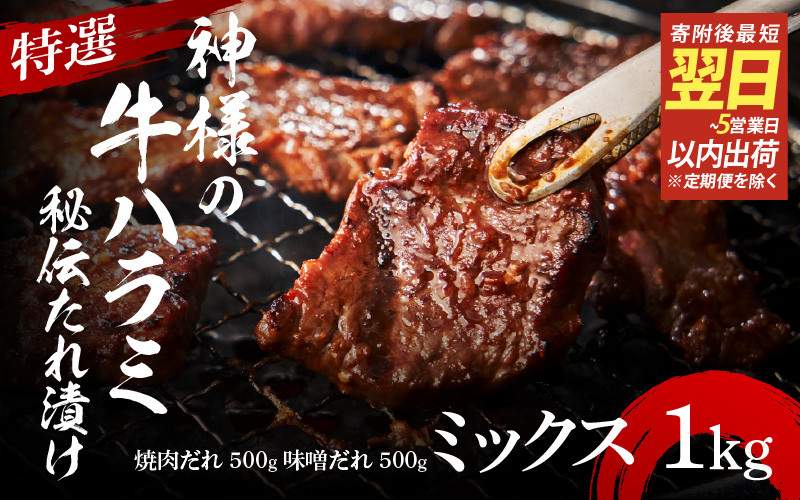 
                  【 スピード発送 】特選神様の牛ハラミ 秘伝たれ漬け 1kg（焼肉だれ1p＋味噌だれ1p）
                