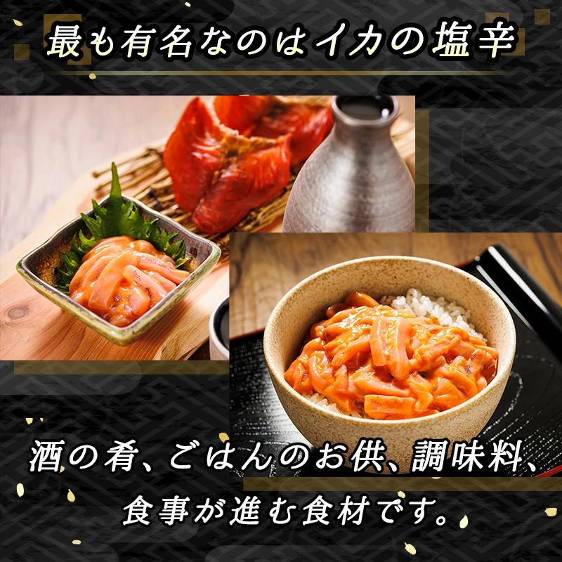 【定期便 2ヶ月連続】北海道産 いか塩辛 130g×5パック 釧路港＜パック＞ | 塩辛 烏賊 いか イカ セット 北海道 冷凍 産地直送 釧路町 釧路超 特産品_イメージ4