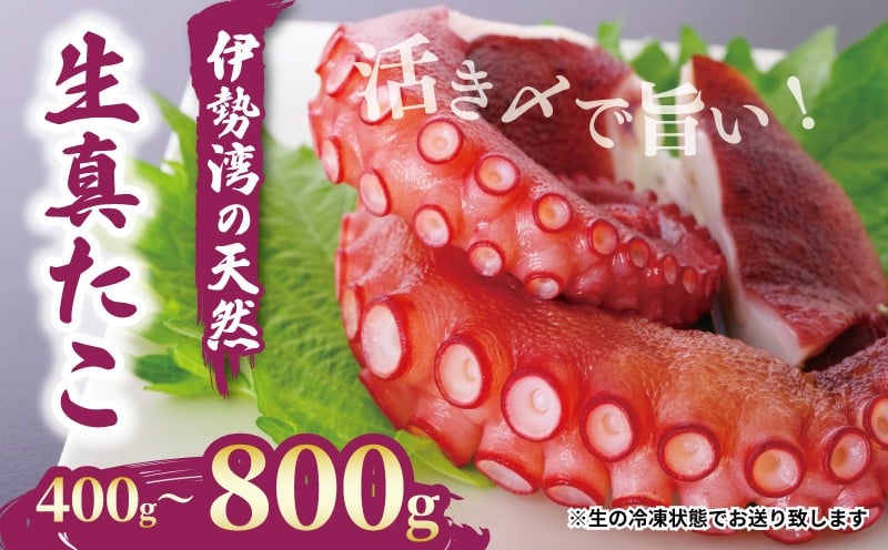 
            【選べる容量】南知多産 活〆生真だこ 400g~800g (1～2匹) タコ 真蛸 たこ 新鮮 海産 海鮮物 お魚 まると水産
          