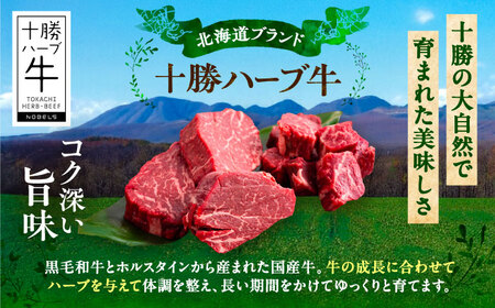 北海道 十勝 ハーブ牛 ヒレステーキ セット 1kg （ミニステーキ300ｇ+コロコロステ ーキ200ｇ）×2 《足寄町》【株式会社ノベルズ食品】[BEAQ060]