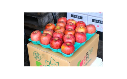 ＜25年11月出荷予定＞平均糖度13度以上! サンふじ 約5kg 贈答用【1612829】