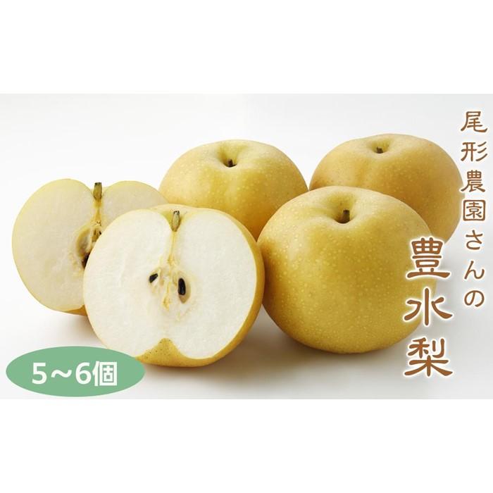 【ふるさと納税】尾形農園の豊水梨（ほうすいなし）（1）【5～6玉入り】 | フルーツ 果物 くだもの 食品 人気 おすすめ 送料無料