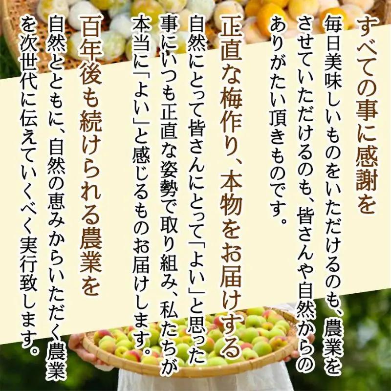 農薬を使用していない南高梅　trgk003B【trgk003B】
