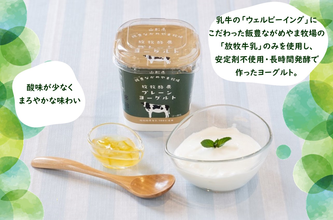 放牧酪農牛乳とヨーグルトの詰合せ