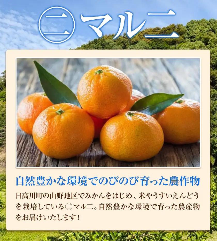 日高川町産みかん 約10kg 2S-M サイズおまかせ マル二