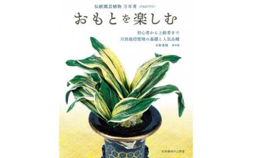 体験 観葉植物 おもと講座と植え替え体験 徳川家康公の運気を上げた縁起物 万年青付き [豊明園 愛知県 岡崎市 ok23bzw650000] おもと 万年青 盆栽 植え替え体験 講座 徳川家康 縁起物 植物