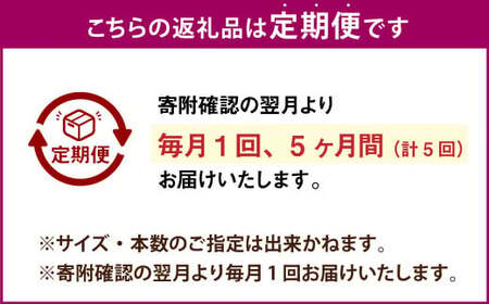 【5ヶ月定期便】“熟成”茨城県産さつまいも【紅はるか】約10kg (茨城県共通返礼品・行方市産）合計約50kg 芋 いも サツマイモ 野菜 やさい 国産