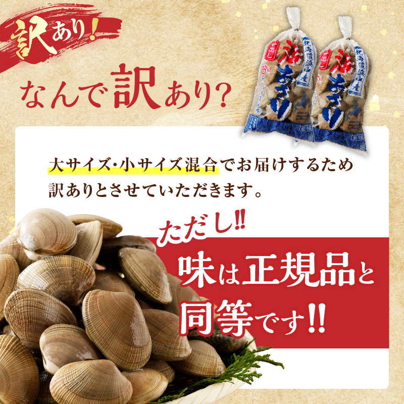 【訳あり】4月～6月発送分《先行予約・期間限定》浜中町産活あさり(500g×3袋セット)_H0023-051