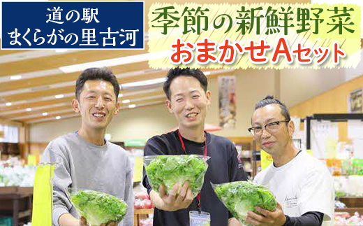 道の駅まくらがの里古河　季節の新鮮野菜おまかせAセット_BQ03 ※北海道・沖縄・離島への配送不可