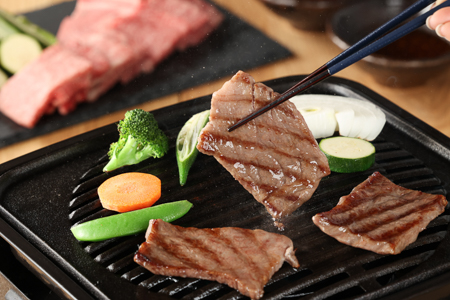 飛騨牛リブロース 500g（焼肉用）牛肉 国産 ブランド牛 【22-20【1】】【冷凍】