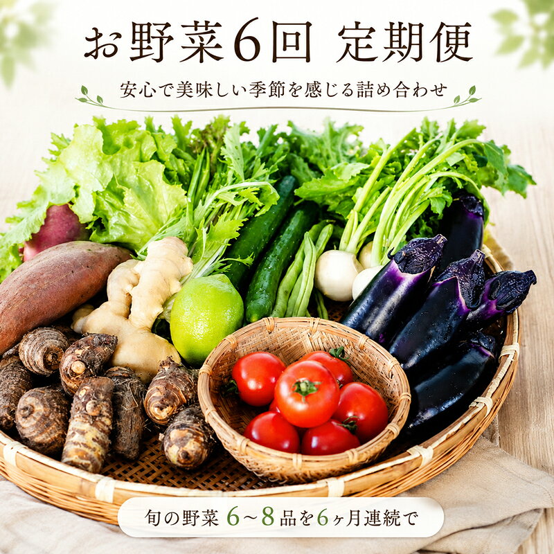 【ふるさと納税】 安心で美味しい 季節 お野菜6回 定期便コース 定期便 6回 6か月 半年 野菜 詰め合わせ セット 毎月 6-8品 旬の野菜 やさい ベジタブル キット 季節野菜 国産 人気 半年間 季節 旬 新鮮 定番 やさい 高知県 安田町 MR-04