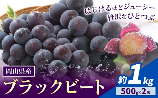 【先行予約】岡山県産 ぶどう ブラックビート 計 1kg 2房 株式会社 はちや《8月上旬-9月上旬頃出荷》岡山 国産 葡萄 フルーツ 果物 岡山県 浅口市 フルーツ 果物【配送不可地域あり】