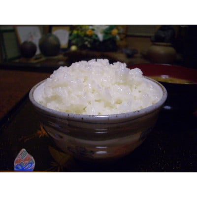 令和6年産千葉県産粒すけ精米5kg【1576623】