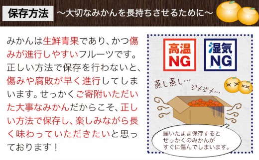 みかん 小玉 極早生みかん 6.5kg《10月上旬-10月末頃出荷》和歌山県 日高川町 果物 フルーツ 柑橘類 みかん お取り寄せ