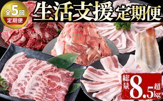 【定期便全5回】生活支援定期便(5ヶ月連続・総量8.5kg以上)国産牛 九州産 豚 豚肉 肉 牛肉 国産 しゃぶしゃぶ 豚バラ 切り落し 大容量 人気 小分け 真空包装 t0066-008
