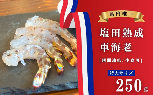 【NHK うまいッ！で紹介】生食可 塩田熟成 活車海老 特大サイズ 瞬間凍結 250g ギフト 贈答 化粧箱 国産 海老 えび 広島県 大崎上島 瀬戸内 離島 新鮮 送料無料 産地直送 ファームスズキ