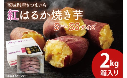 【数量限定】紅はるか焼き芋S～SSサイズ２kg箱 焼いも 焼芋 冷やし焼き芋 いも やきいも さつまいも サツマイモ 蜜芋 冷凍 紅はるか べにはるか おやつ ヘルシー 食物繊維 腸活 高評価 茨城県産 水戸市 茨城県（KE-1）