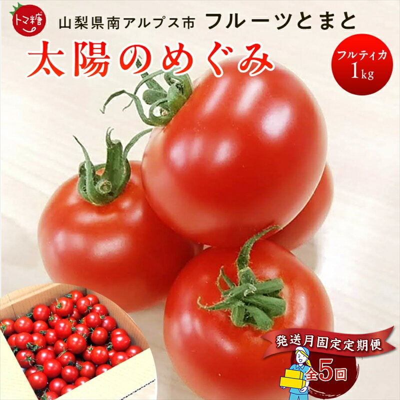 【ふるさと納税】 6-183 発送月固定定期便・フルーツトマト「トマ糖・太陽のめぐみ」フルティカ1kgを全5回（2月、4月、8月、10月、12月） ふるさと納税 トマト　野菜　食べ物　ミニトマト　フルーツトマト おすすめ 山梨県 南アルプス市 送料無料 ALPBI005