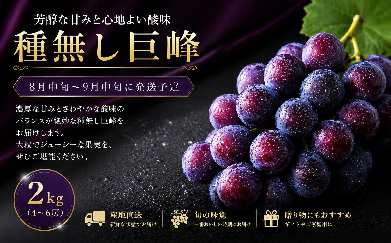 
                  ＜2026年発送先行予約＞★2026年8月中旬より順次発送★種なし 巨峰 4～6房 (2kg) HDK001| 福岡 福岡県 ぶどう 葡萄 ブドウ キョホウ フルーツ くだもの 果物  新鮮 ふるさと納税川崎町 冷蔵  種無し 2026年 川崎町
                