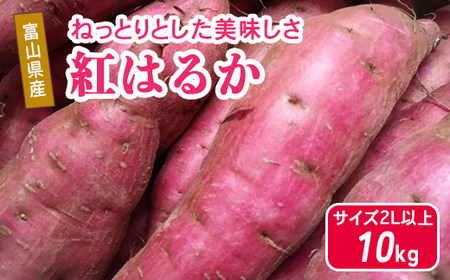 富山県魚津産さつまいも 紅はるか 10kg サイズ2L以上｜長引野 黒ボク土 ねっとり 土付 ※北海道・沖縄・離島への配送不可