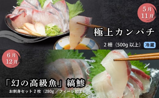 刺身 定期便 6ヶ月 小島水産 がお届けする！ 美味しい お刺身 大容量 コース ( 鮮魚 下処理済 )  産地直送 半年 新鮮 鮮魚 ( 6回 お楽しみ 定期便 お刺身 かつお タタキ カツオ 鰹 鯛 たい 真鯛 タイ 鰤 ぶり ブリ 勘八 カンパチ かんぱち シマアジ 縞鯵 しまあじ 高級魚 魚貝 ) KS28000-5x