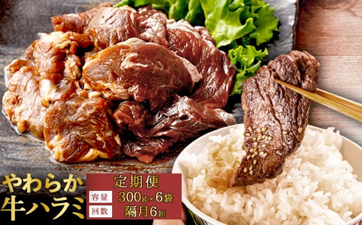 【隔月6回定期便】やわらか 牛ハラミ（サガリ）肉 極旨秘伝醤油タレ漬け（300g×6袋）訳あり ハラミ 牛肉 個包装 焼肉 GS-609